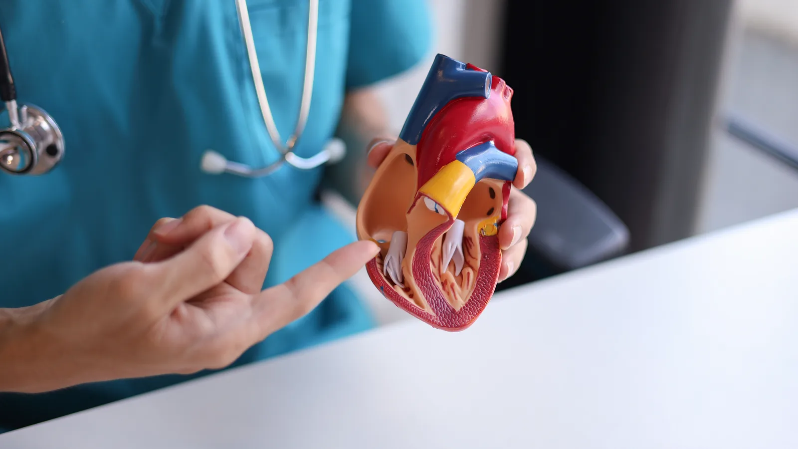 Cardiólogo revisando un electrocardiograma en Clínica San Javier
